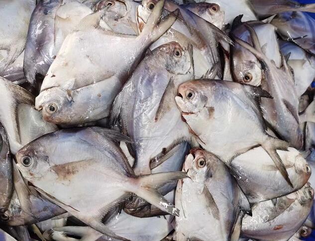 1589773015151743.jpg 生鮮配送"QQ截圖20200518113546.jpg"/