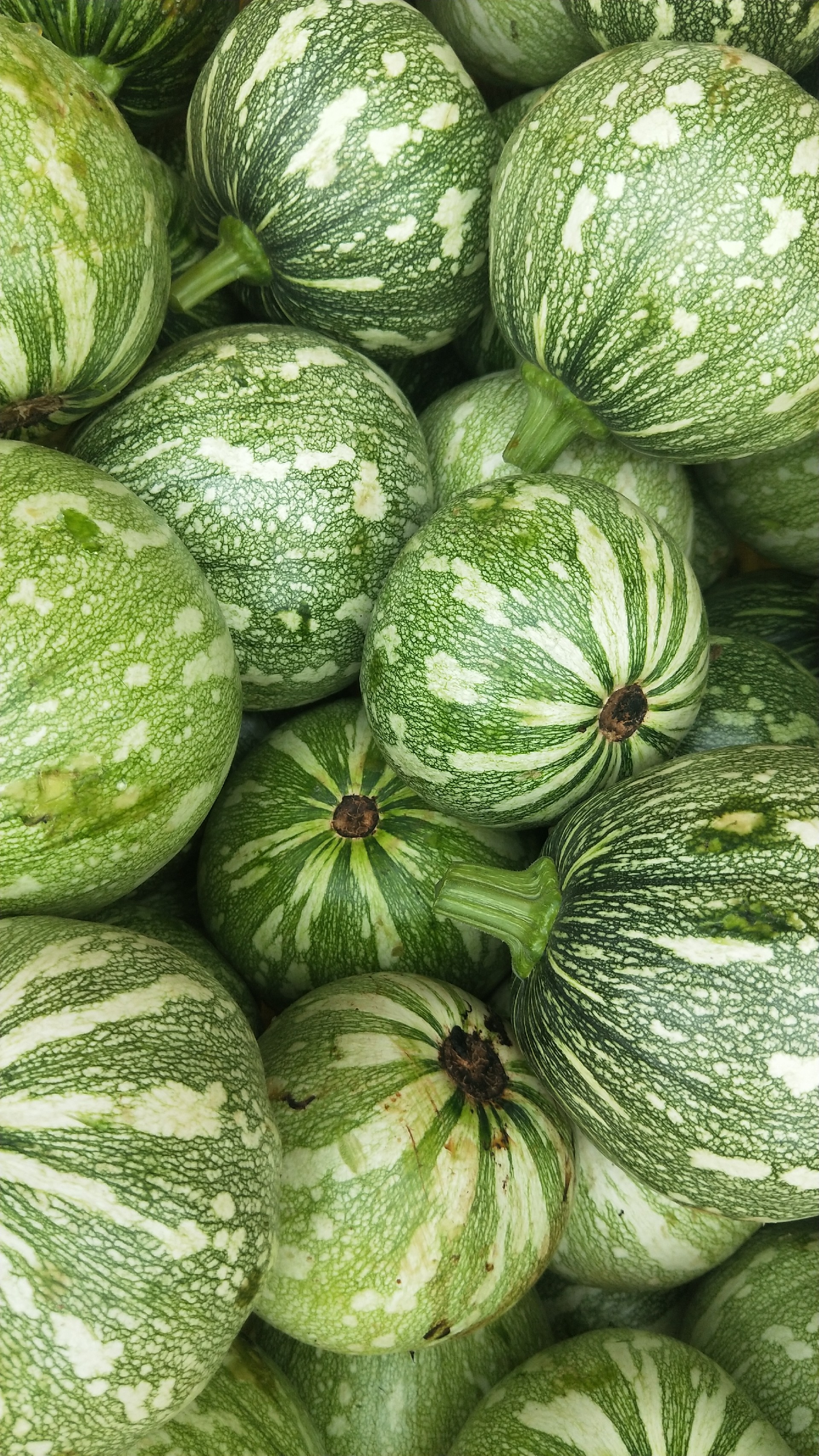 1594951431156305.jpg 微信圖片_20191227110742.jpg