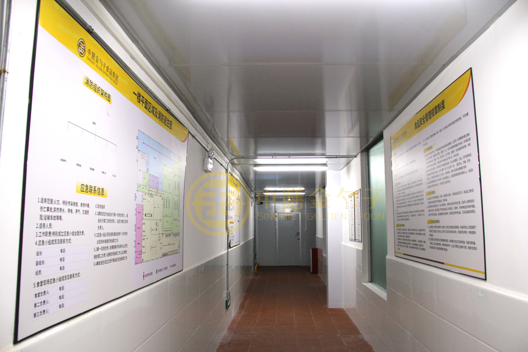 1595215584853828.jpg 凈菜車間02.jpg