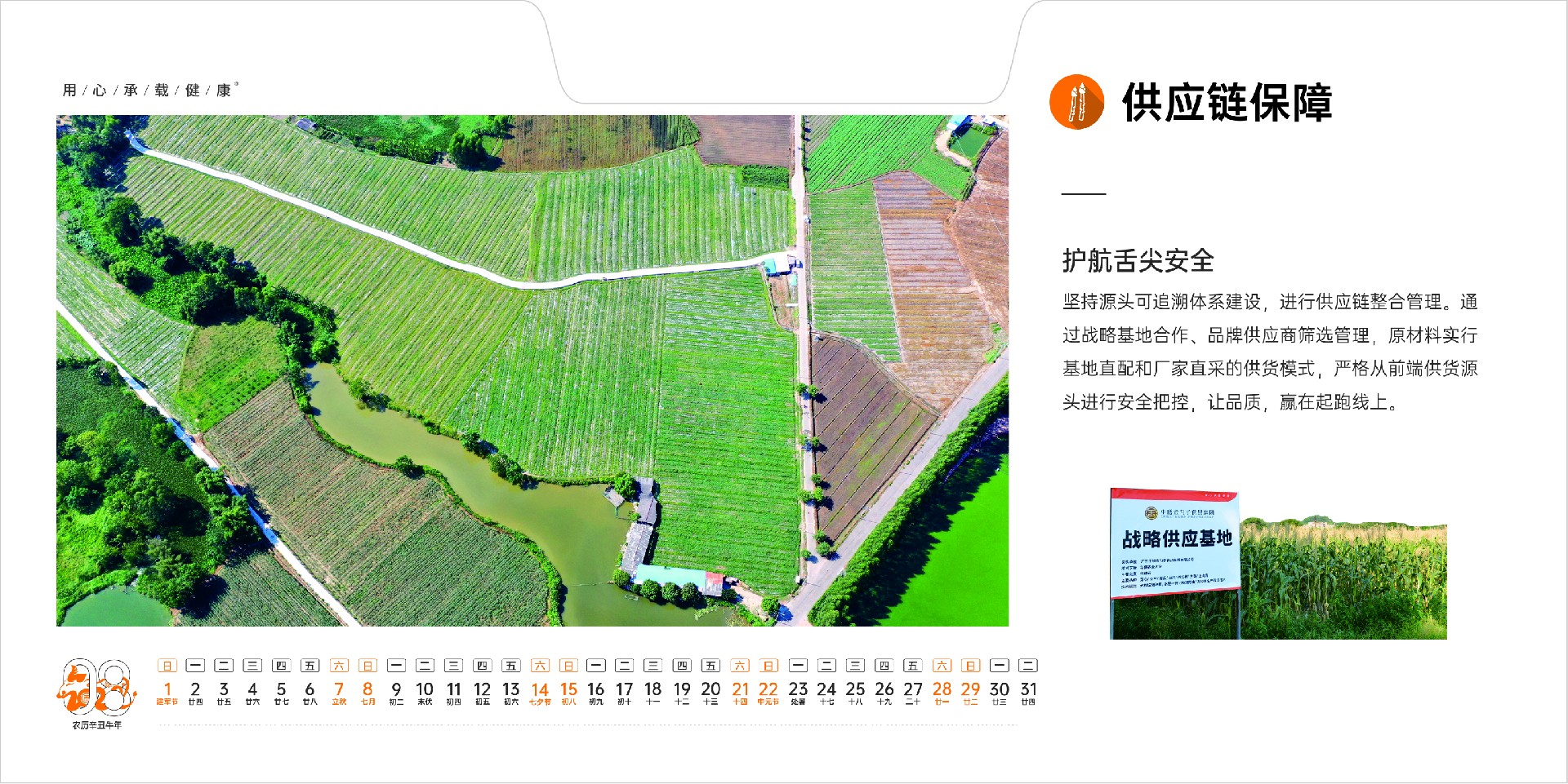 1610590977445347.jpg 1610590977445347.jpg