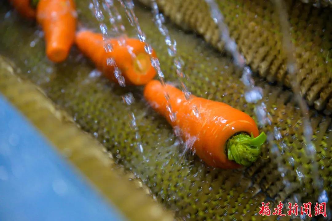 1610934681570591.jpg 13.jpg