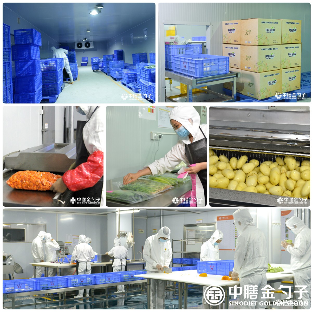 1649835679106968.jpg 迅捷圖片轉(zhuǎn)換器-2022413-1649829858756.jpg